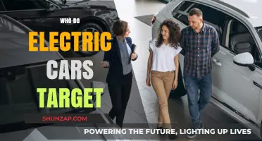 Who Buys Electric Cars? Understanding the Target Market for EVs