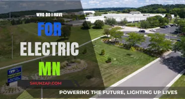 Electricity Provider Options in Minnesota: Who Should You Choose?