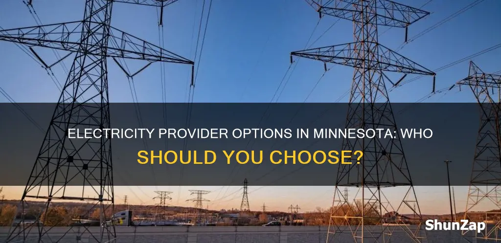 who do i have for electric mn