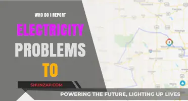 Electricity Problems? Here's Who to Call