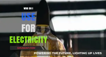 Choosing the Right Electricity Provider: A Comprehensive Guide for Consumers