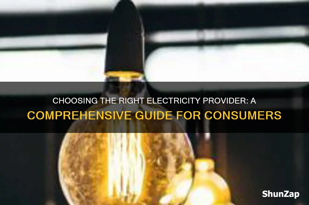 who do i use for electricity