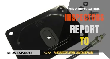 Electrical Inspectors: Reporting Structure in Illinois