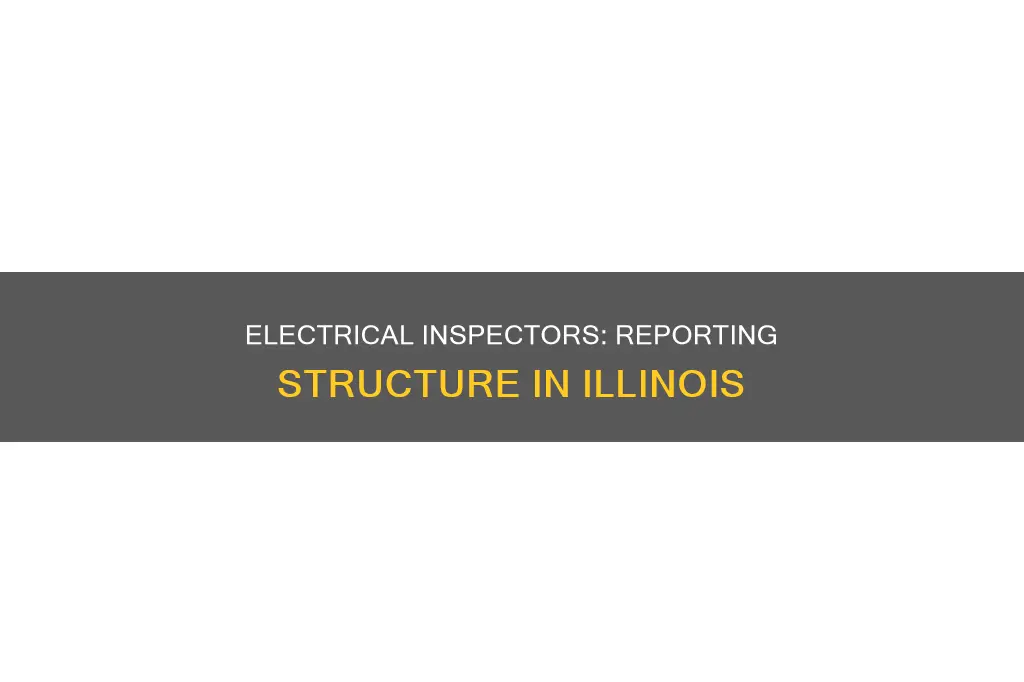 who do illinois electrical inspectors report to