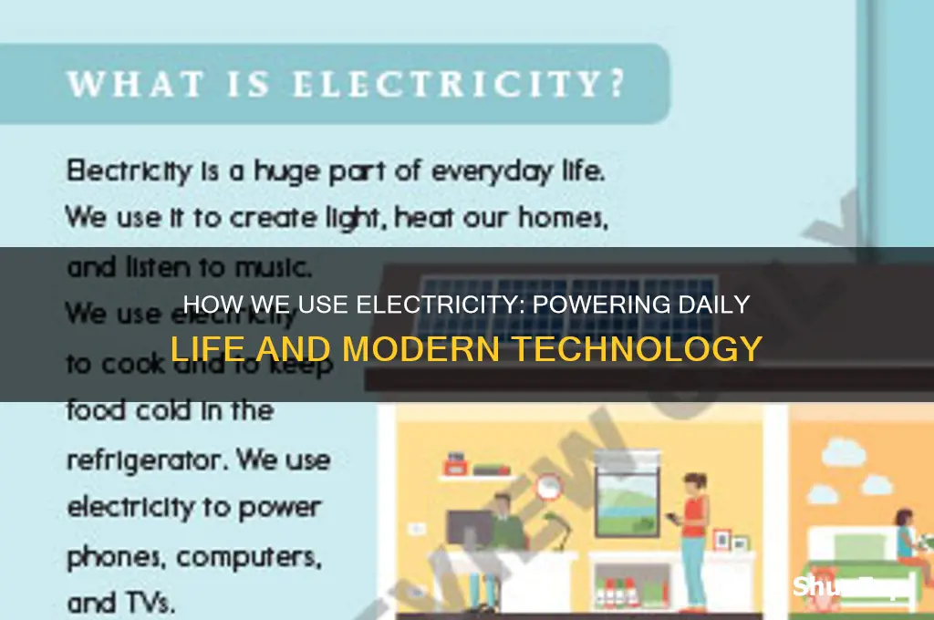 who do we use electricity