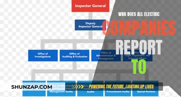 Unraveling the Corporate Hierarchy: Who Oversees Electric Utilities?