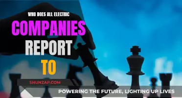 Electric Companies: Who's the Boss?