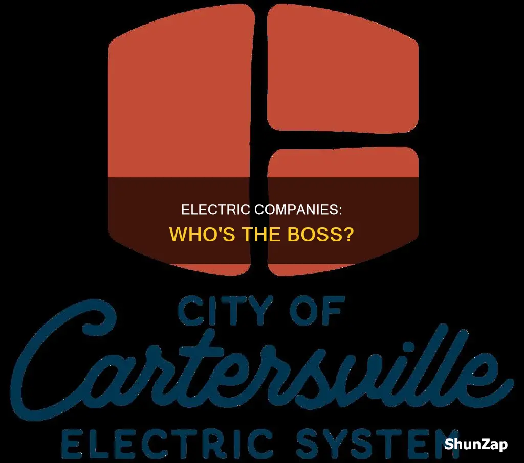 who does all electric companies report to