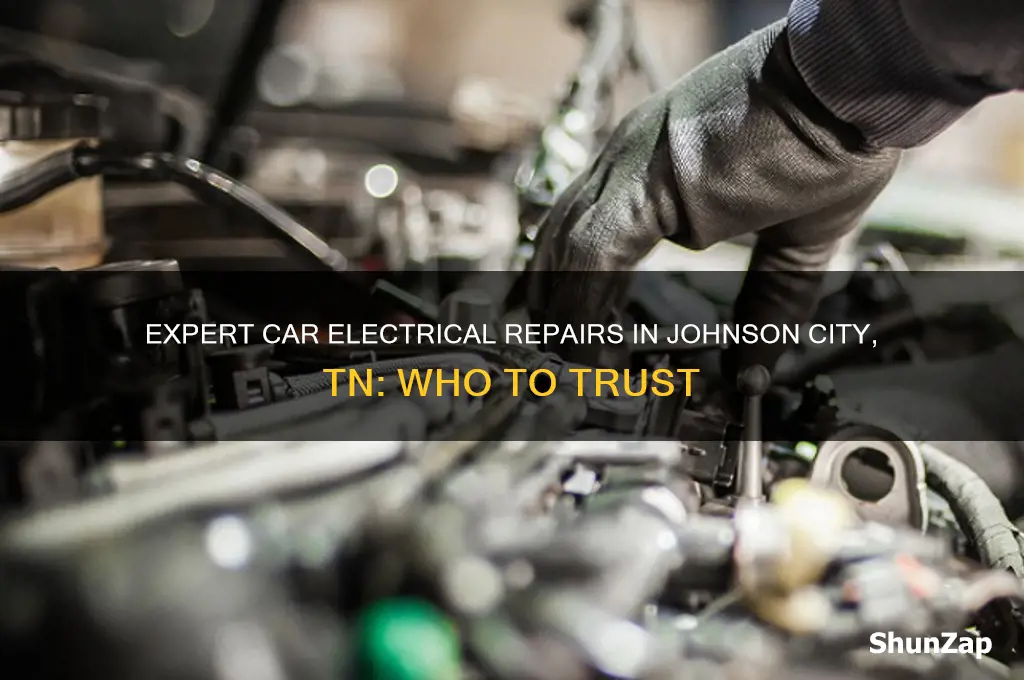 who does car electrical work johnson city tn