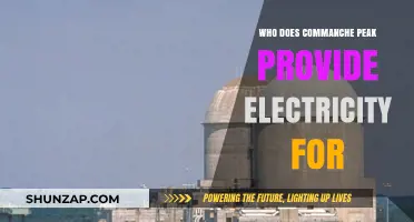 Comanche Peak: Powering Texas with Reliable Electricity