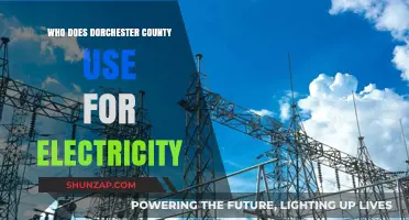 Dorchester County's Electricity Provider: Who Powers the Community?