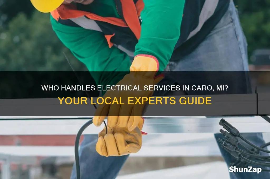 who does electric in caro