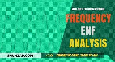 The Quest for Power Grid Stability: ENF Analysis