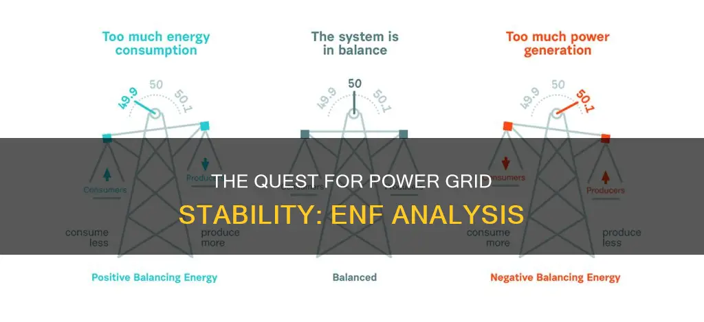 who does electric network frequency enf analysis