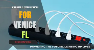 Electric Utilities for Venice, Florida: Who Powers the City?
