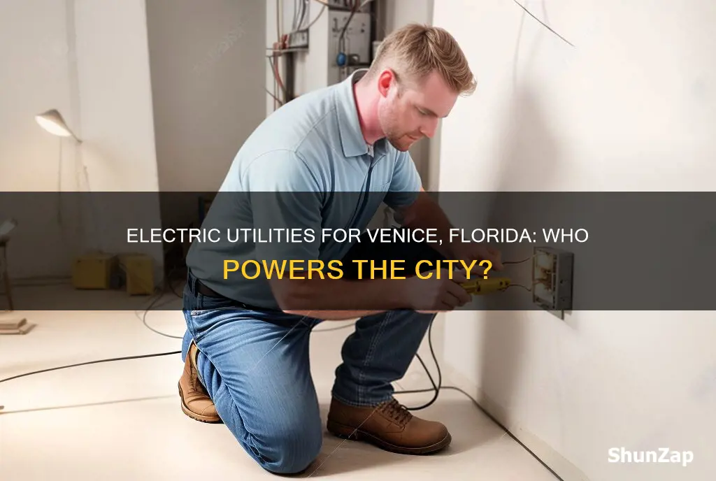 who does electric utilities for venice fl
