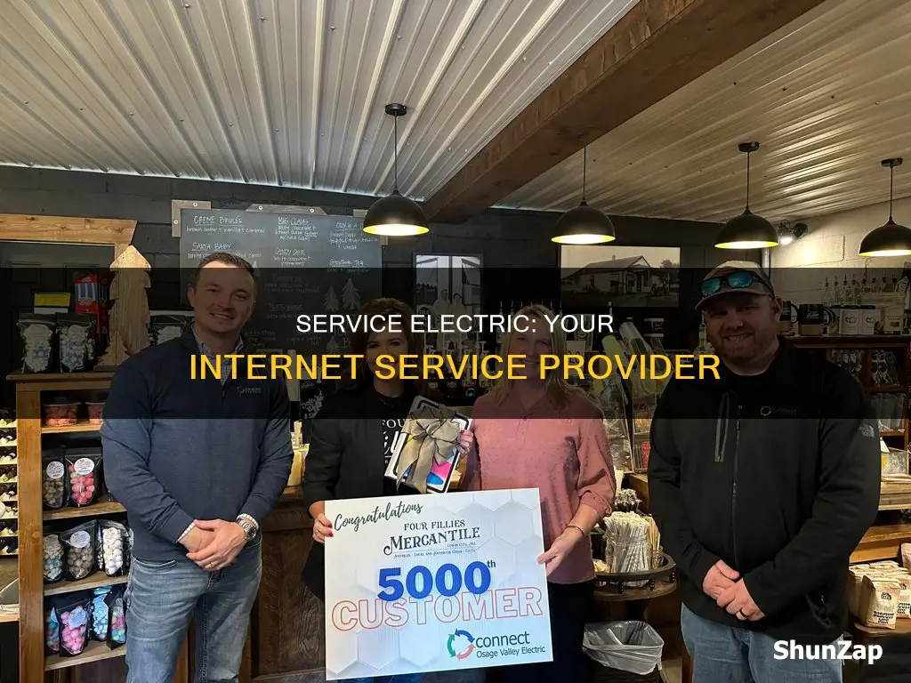 who does service electric gt internet from