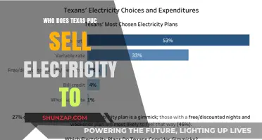 Texas PUC: Electricity Sales and the Buyers