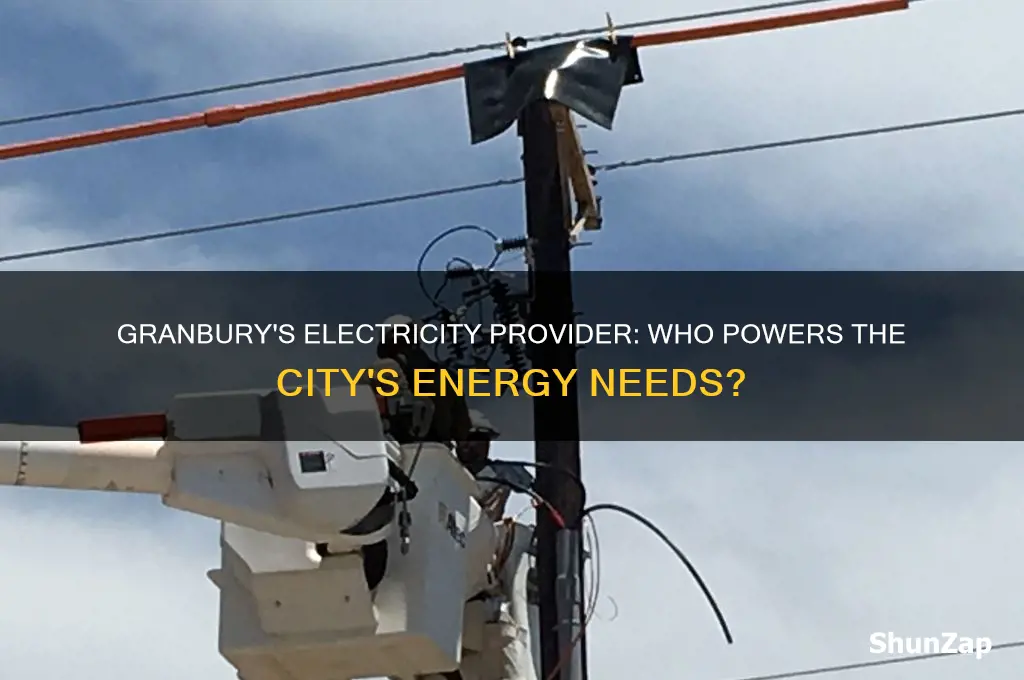 who does the city of granbury use for electricity