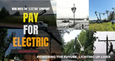 Electric Company's Payment: Who Benefits?