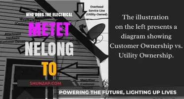 Who Owns the Electrical Meter?