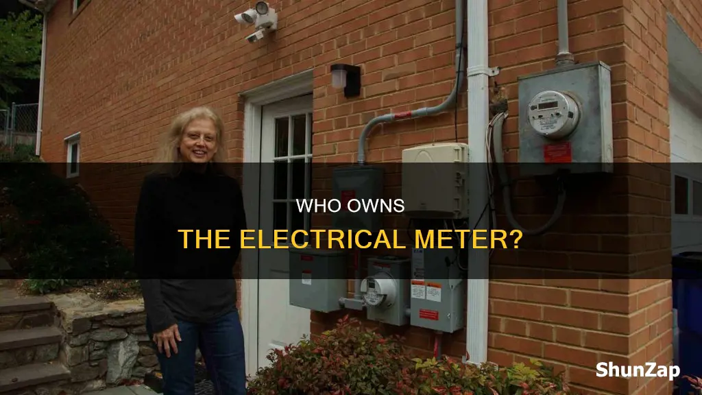 who does the electrical metet nelong to