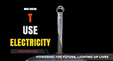 Living Off the Grid: Who Doesn't Use Electricity and Why?