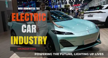 Electric Car Industry Leaders: Who's Dominating the Sustainable Mobility Market?