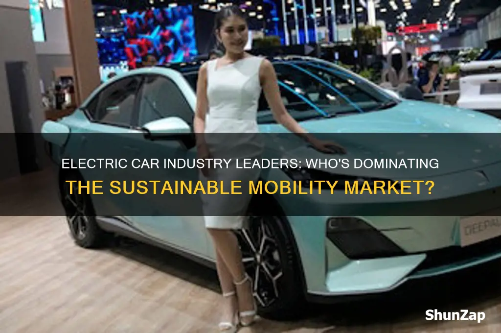 who dominates the electric car industry