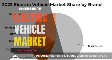 Electric Vehicle Market: Who Reigns Supreme?