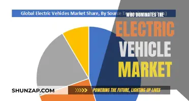Electric Vehicle Market: Who's Leading the Charge?