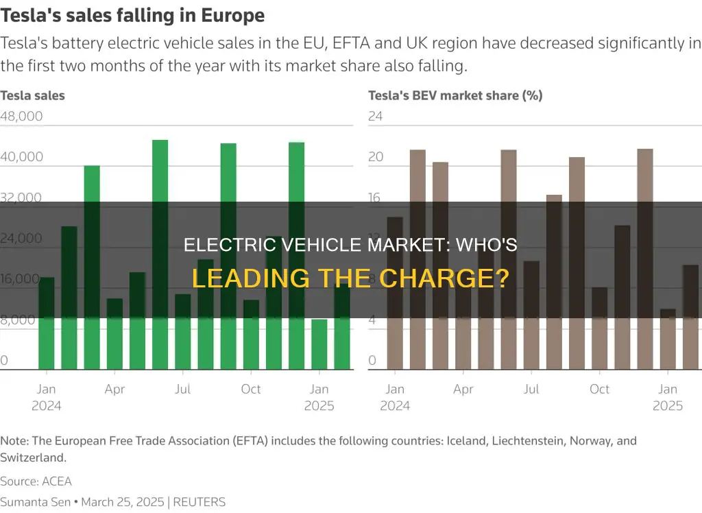 who dominates the electric vehicle market