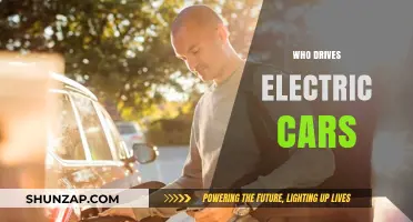 Who Drives Electric Cars: Demographics, Trends, and Motivations Explored