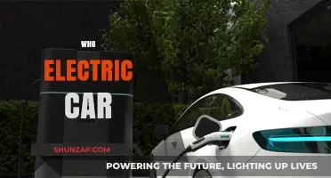 Who's Leading the Electric Car Revolution: Top Innovators and Trends