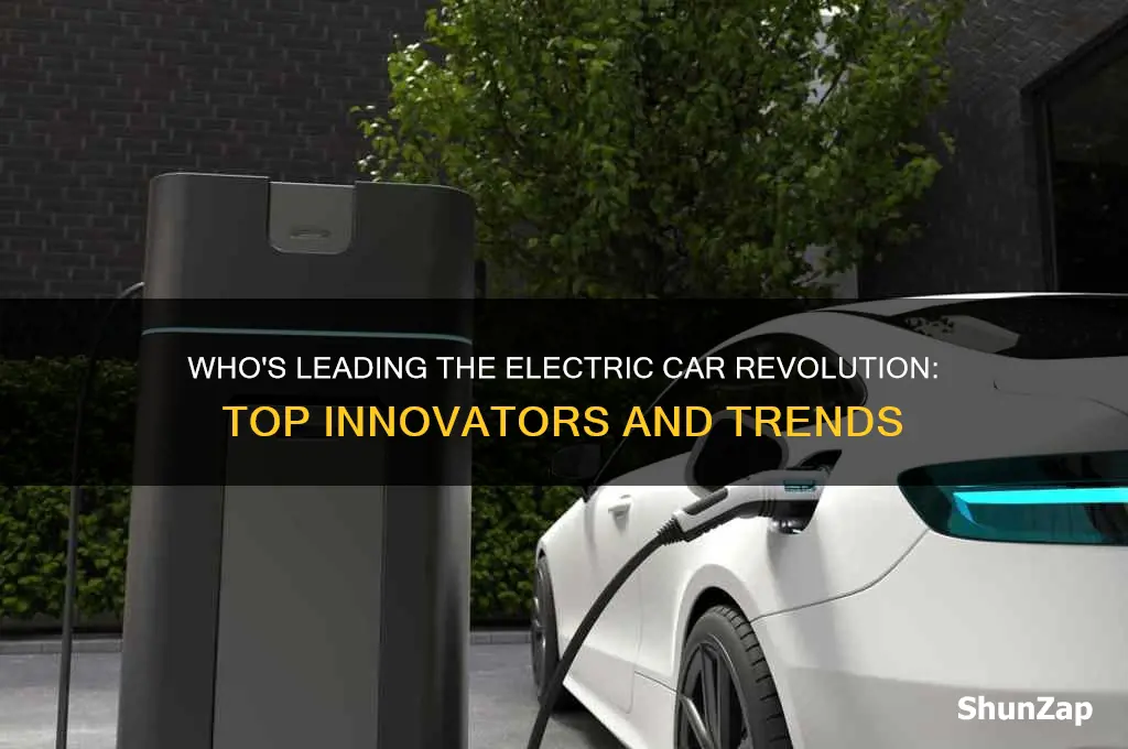 who electric car