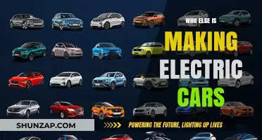 Beyond Tesla: Exploring the Growing Electric Car Manufacturers Landscape