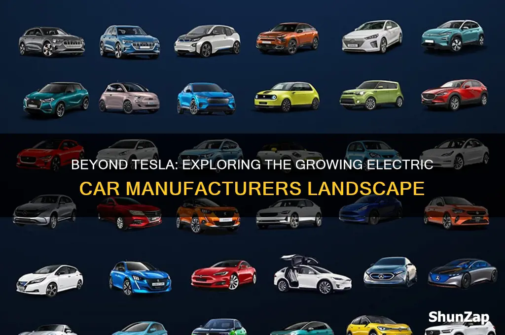 who else is making electric cars