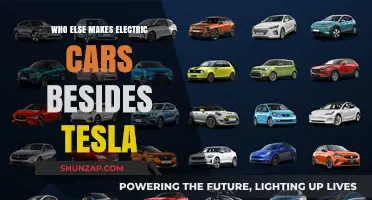 Beyond Tesla: Exploring Other Top Electric Car Manufacturers