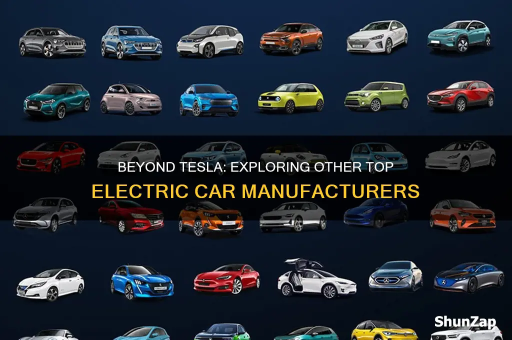 who else makes electric cars besides tesla