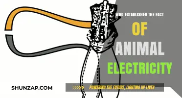 Animal Electricity: Galvani's Discovery and Legacy