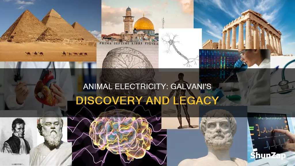 who established the fact of animal electricity