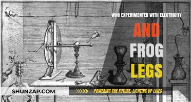 Electricity and Frog Legs: The Early Experiments
