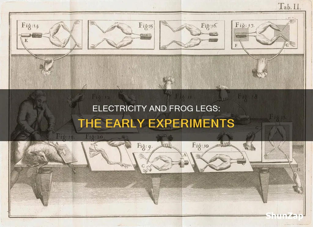 who experimented with electricity and frog legs