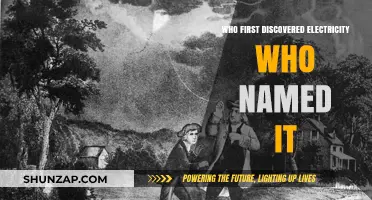 The Discovery of Electricity: Who Named It?