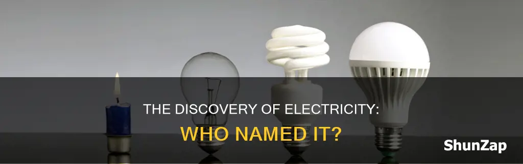 who first discovered electricity who named it
