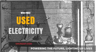 The Shocking History: Who First Harnessed Electricity's Power?