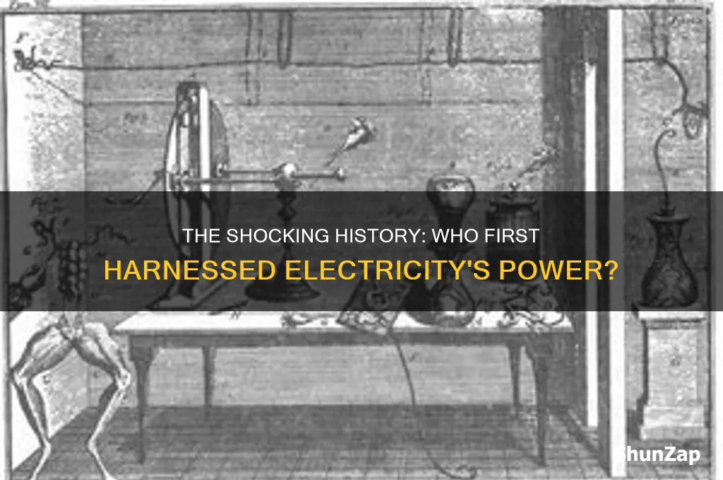 who first used electricity