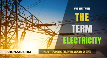The Shocking Origin: Who Coined the Term Electricity?
