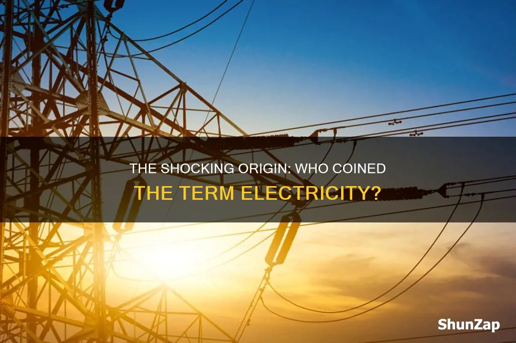 who first used the term electricity