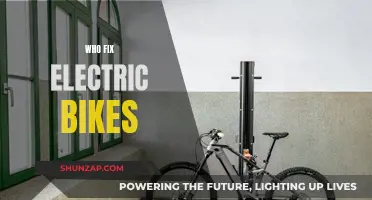 Electric Bike Repair: Who Can Fix Your Ride?